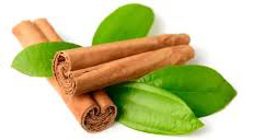 Cinnamon — CinnaMonsAI